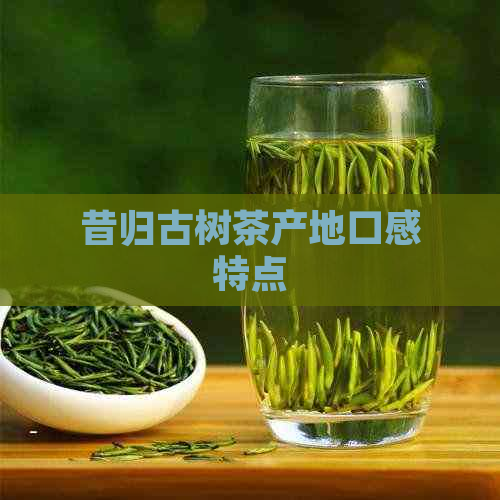 昔归古树茶产地口感特点