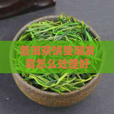 普洱茶饼受潮发霉怎么处理好