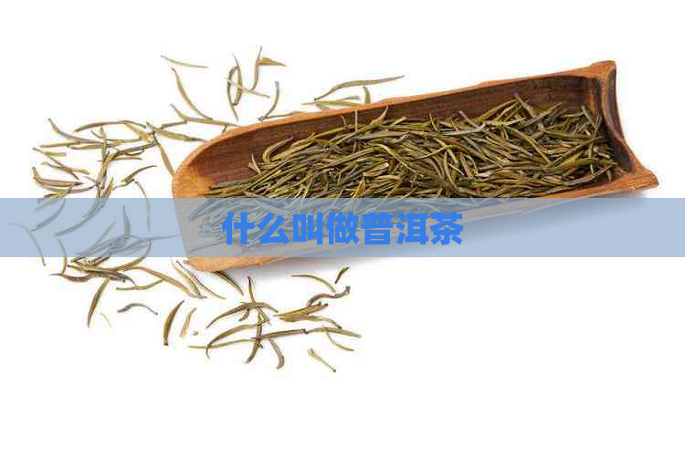 什么叫做普洱茶