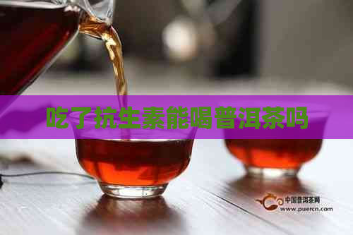 吃了抗生素能喝普洱茶吗