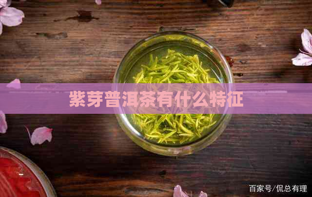 紫芽普洱茶有什么特征