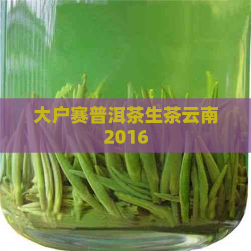 大户赛普洱茶生茶云南2016