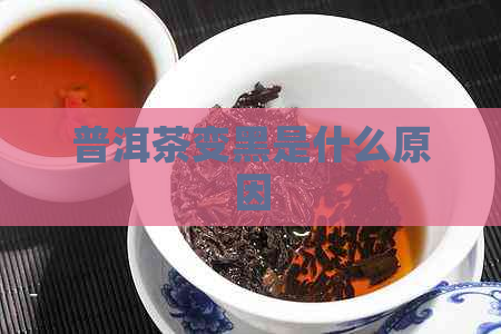 普洱茶变黑是什么原因