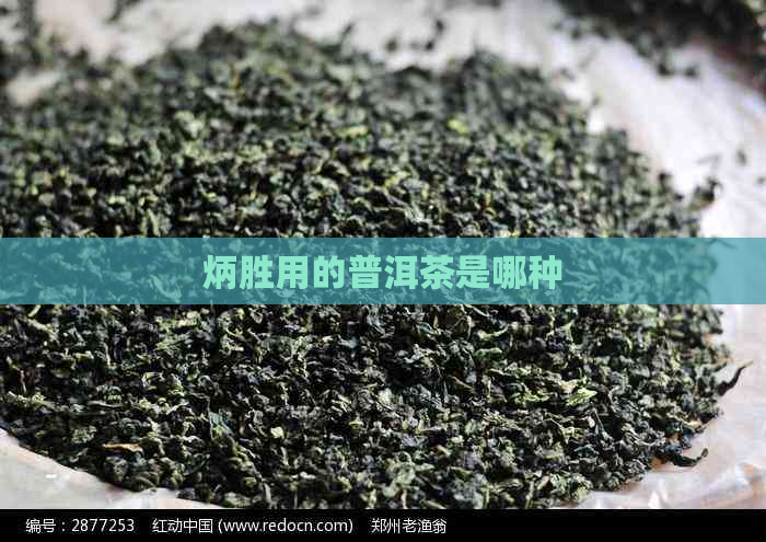 炳胜用的普洱茶是哪种