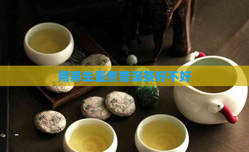 用养生壶煮普洱茶好不好