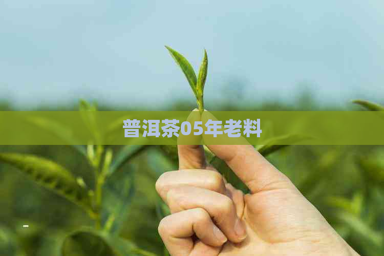 普洱茶05年老料