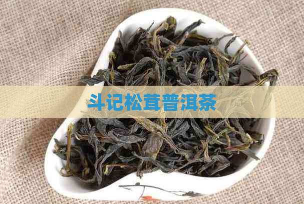 斗记松茸普洱茶