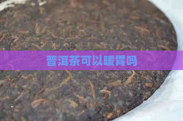 普洱茶可以暖胃吗