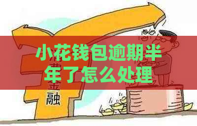 小花钱包逾期半年了怎么处理