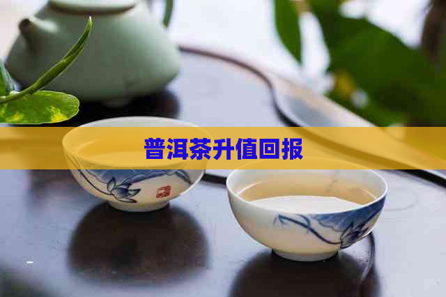 普洱茶升值回报