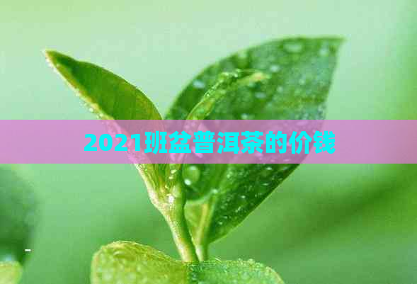 2021班盆普洱茶的价钱