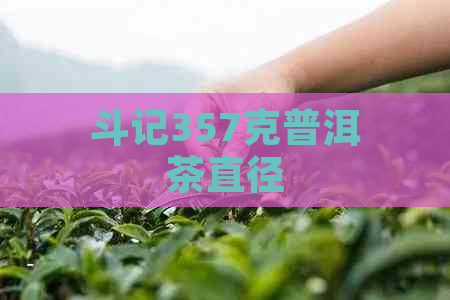 斗记357克普洱茶直径