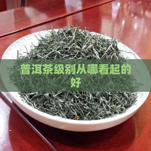 普洱茶级别从哪看起的好