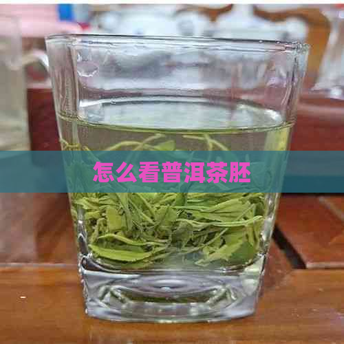 怎么看普洱茶胚