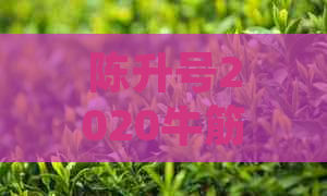 陈升号2020牛筋普洱茶生茶357g普洱生茶饼茶茶叶价格