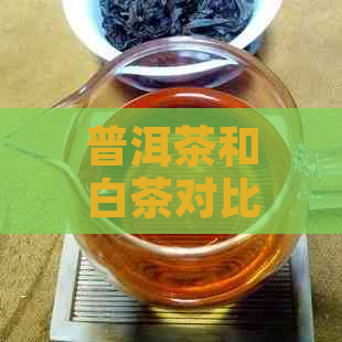 普洱茶和白茶对比