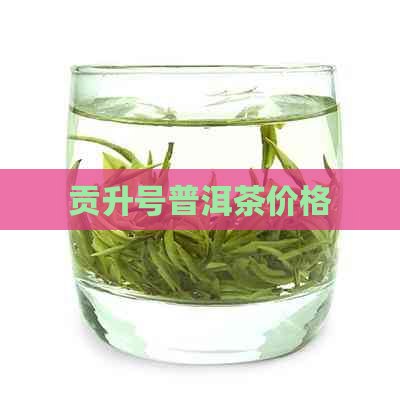 贡升号普洱茶价格