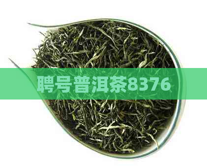 聘号普洱茶8376