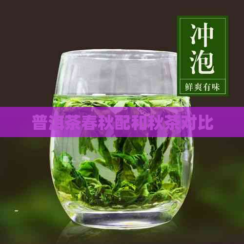 普洱茶春秋配和秋茶对比