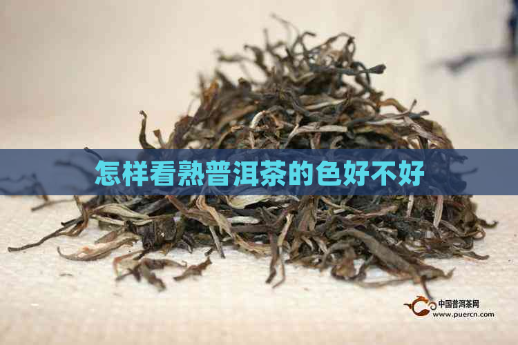 怎样看熟普洱茶的色好不好