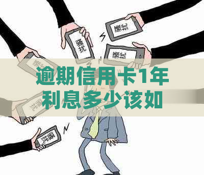 逾期信用卡1年利息多少该如何计算