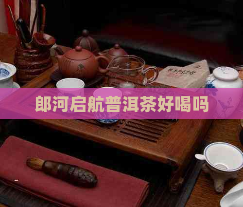 郎河启航普洱茶好喝吗