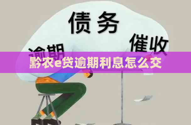 黔农e贷逾期利息怎么交