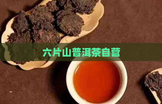 六片山普洱茶自营