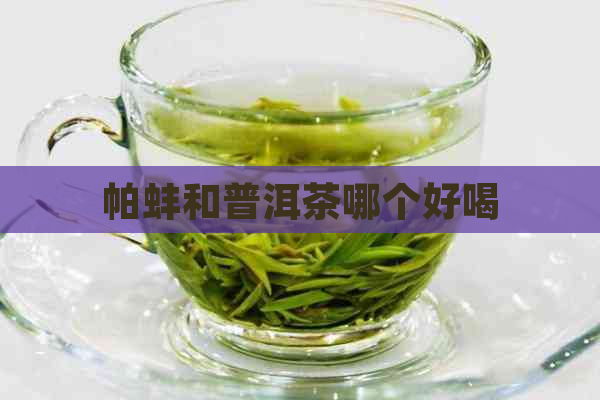 帕蚌和普洱茶哪个好喝