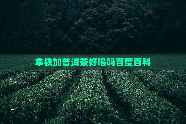 拿铁加普洱茶好喝吗百度百科