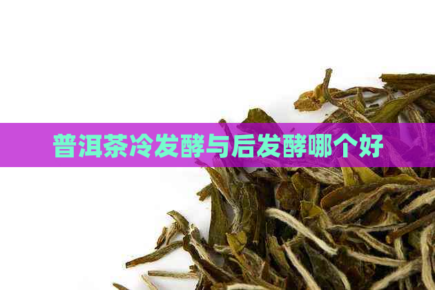 普洱茶冷发酵与后发酵哪个好