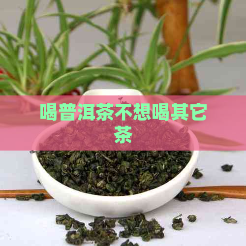 喝普洱茶不想喝其它茶