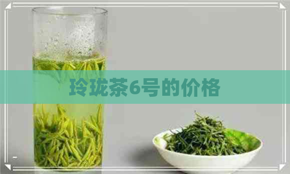 玲珑茶6号的价格