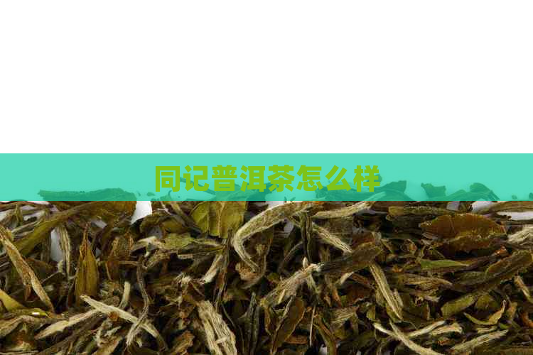 同记普洱茶怎么样