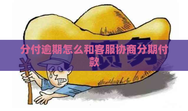 分付逾期怎么和客服协商分期付款