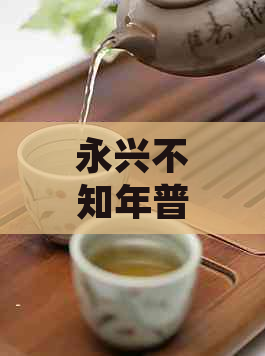 永兴不知年普洱茶熟茶