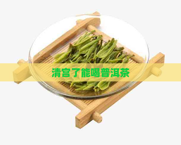 清宫了能喝普洱茶