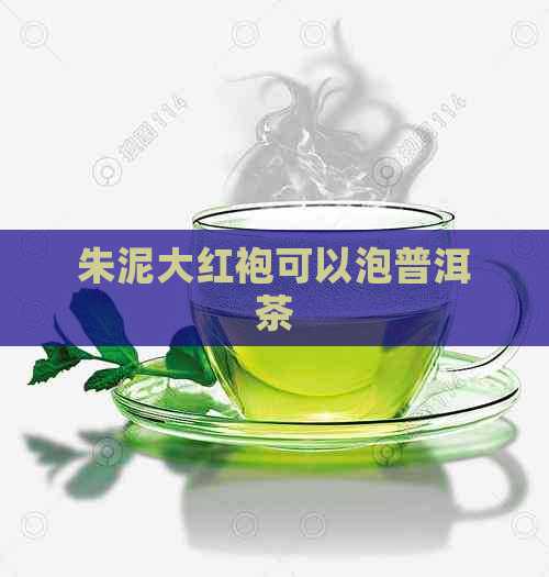 朱泥大红袍可以泡普洱茶