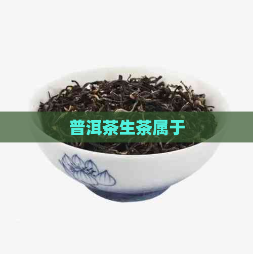 普洱茶生茶属于