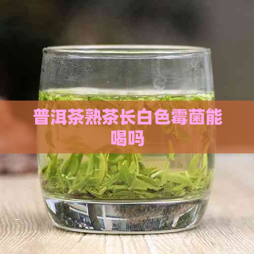 普洱茶熟茶长白色霉菌能喝吗