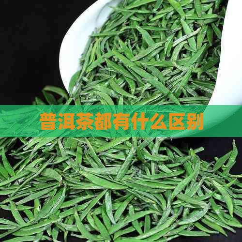 普洱茶都有什么区别