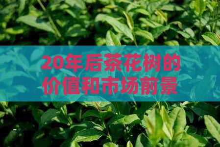 20年后茶花树的价值和市场前景分析：潜在收益与投资潜力探讨