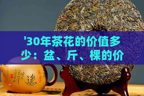 '30年茶花的价值多少：盆、斤、棵的价格解析'