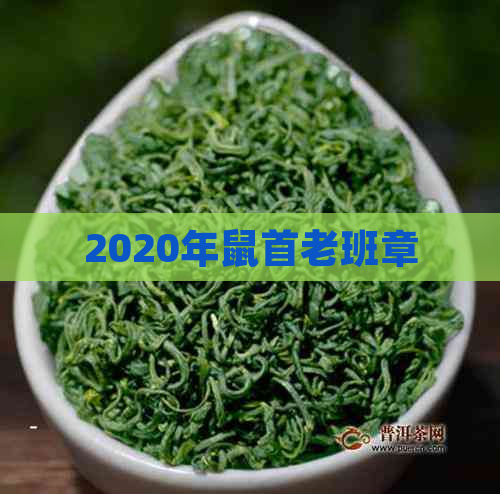 2020年鼠首老班章