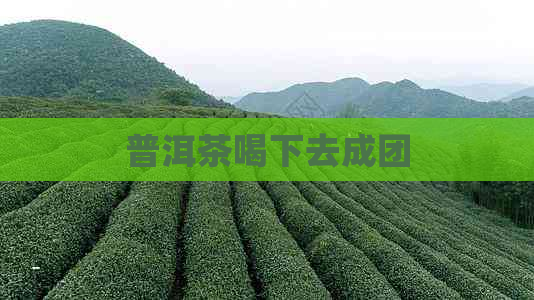 普洱茶喝下去成团