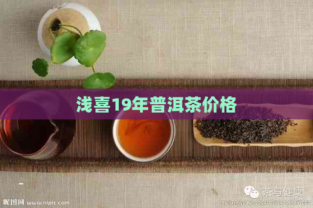 浅喜19年普洱茶价格