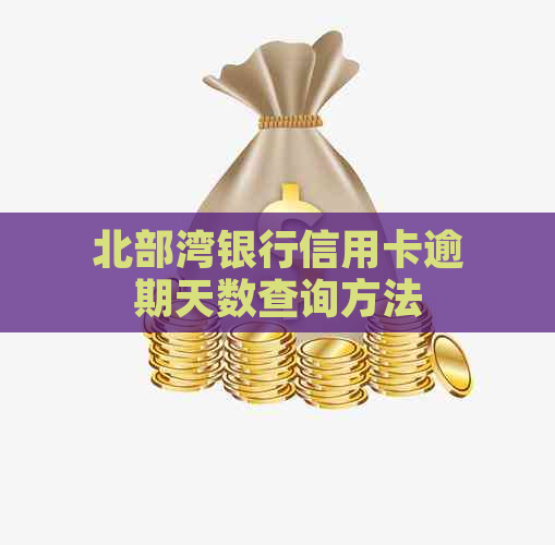 北部湾银行信用卡逾期天数查询方法