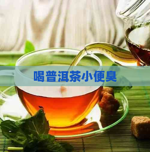 喝普洱茶小便臭