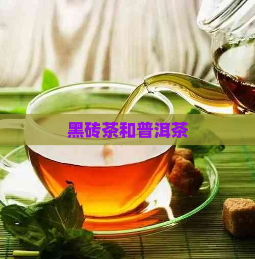 黑砖茶和普洱茶