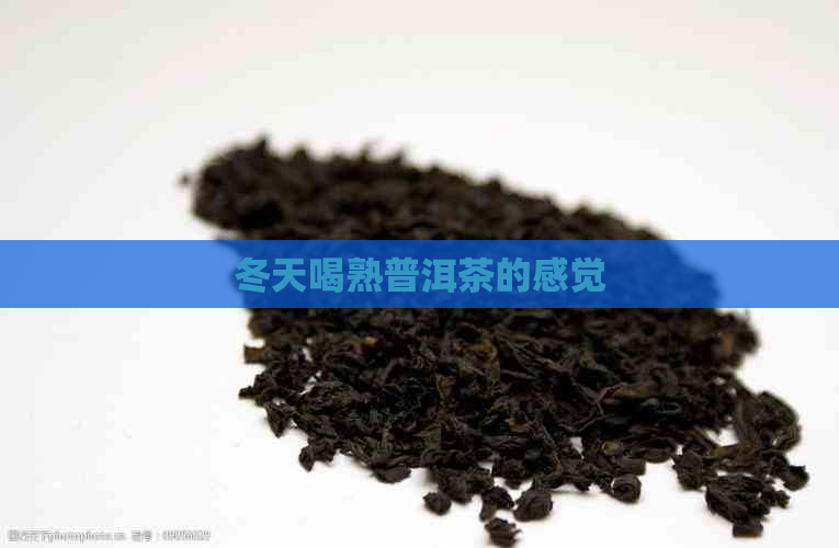 冬天喝熟普洱茶的感觉